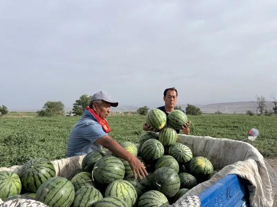 缅甸免费吃瓜入口,一场独特的美食体验之旅  第2张